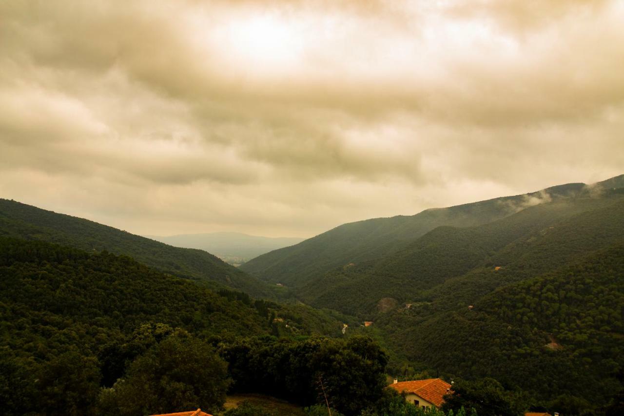 Hostal Montserrat Montseny Exterior photo